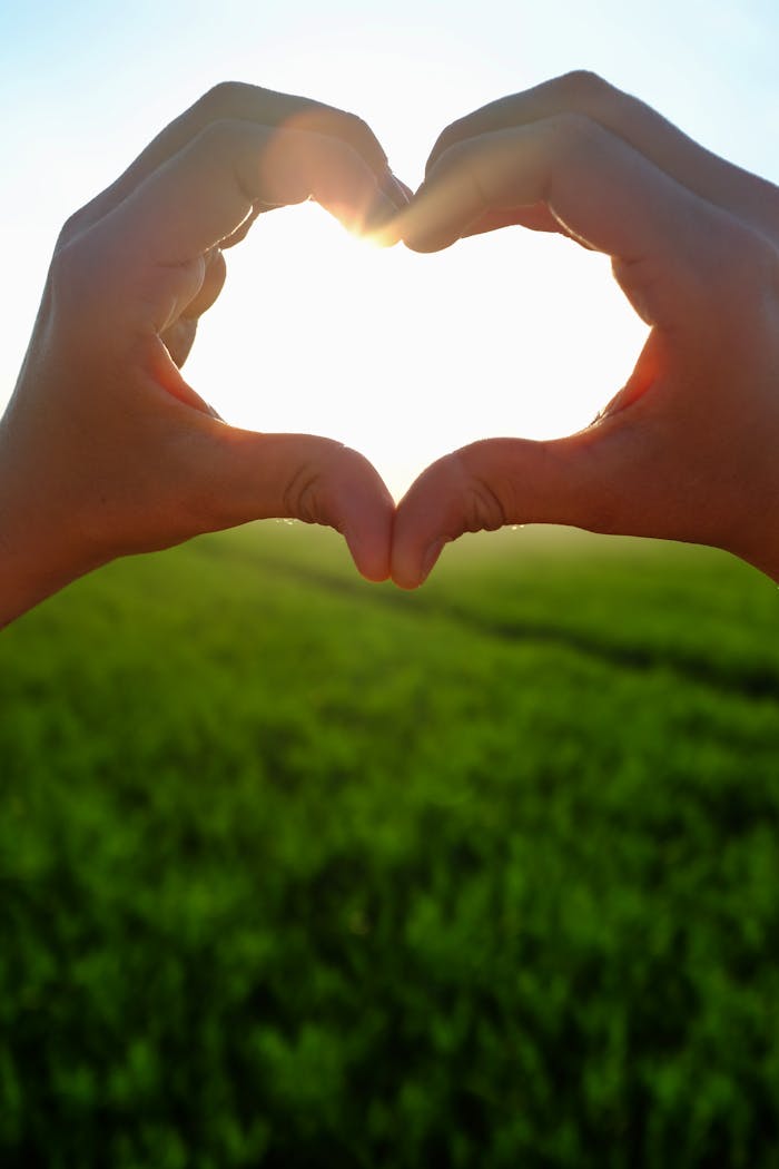 Silhouette of heart-shaped hands with sunlight streaming through over a green field.
