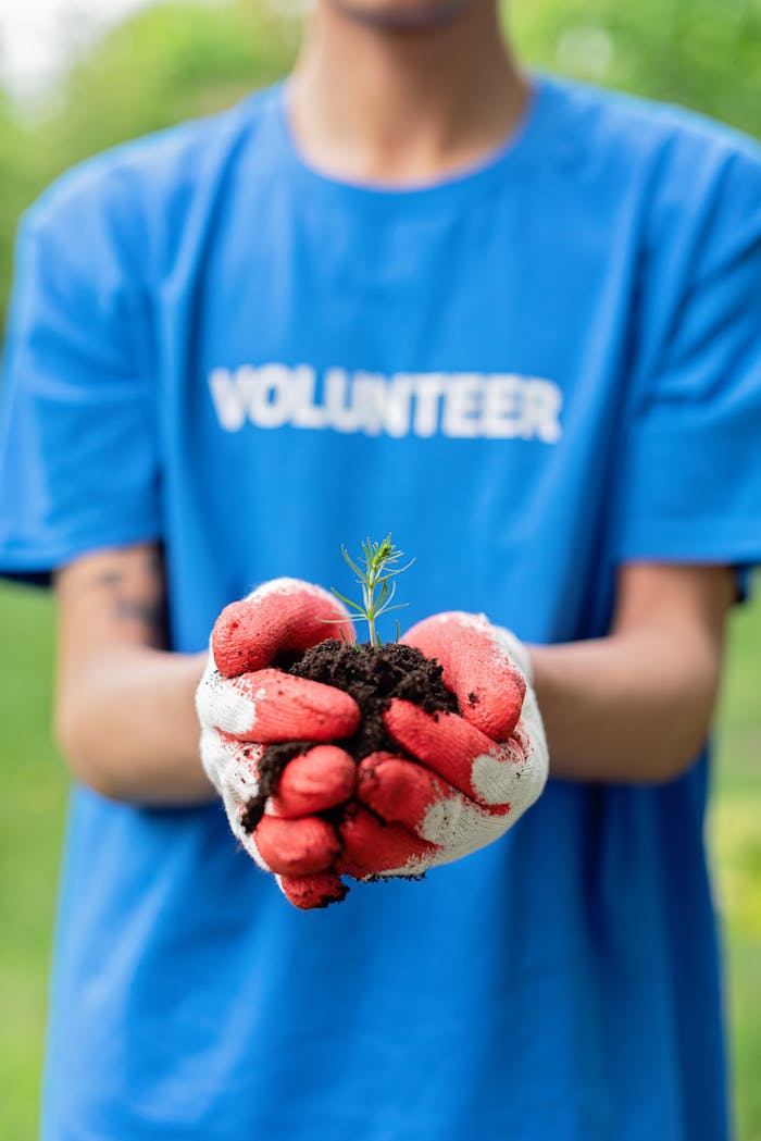 Close-up of a person holding a young plant in gloves, promoting environmental conservation.